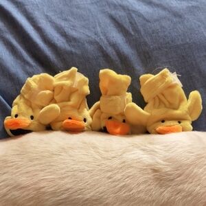 Duck Pet Slippers New In Box